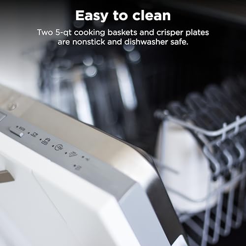 Best Ninja Dual Air Fryer
