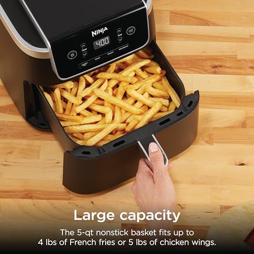 Best Air Fryer For Crispy Food