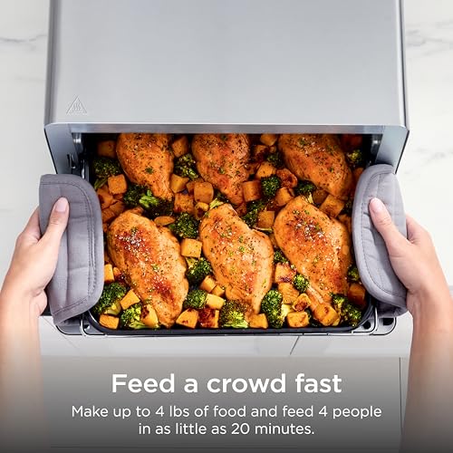 Best Ninja Air Fryer Oven